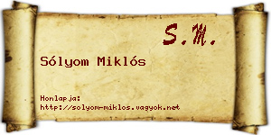 Sólyom Miklós névjegykártya